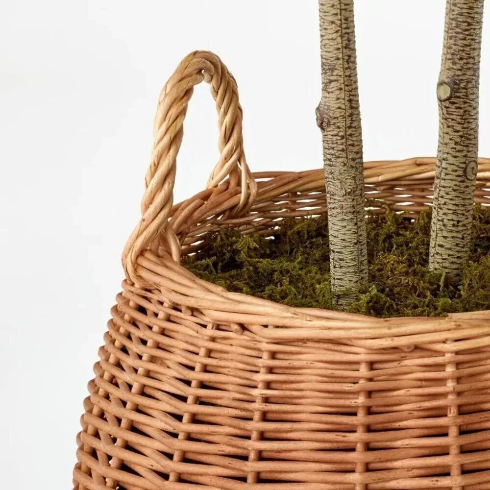 Threshold Studio McGee Artificial Pterocarpus Leaf Tree in Woven Basket - Target